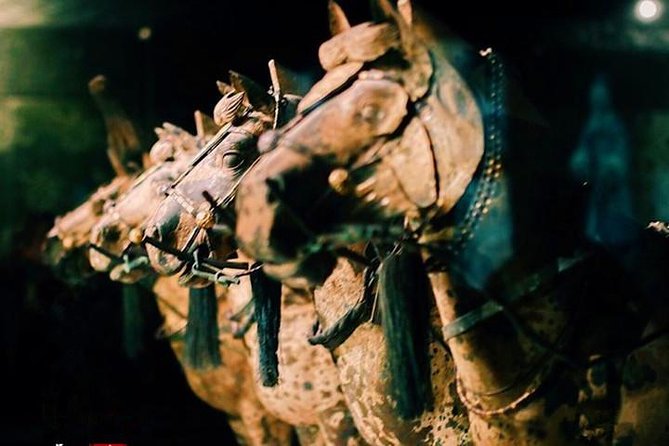 Private Half-Day Tour of Xian Terracotta Warriors - Tour Highlights