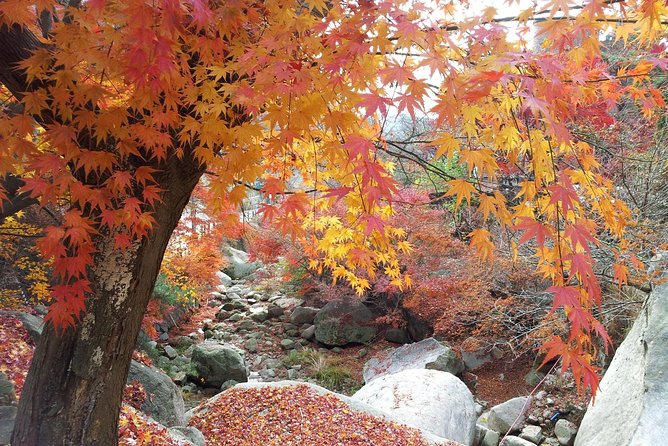Private Hiking to Bukhansan & Korean Style Spa(Include Lunch) - Cultural Significance of Bukhansan