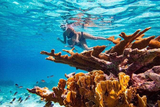 Private Snorkeling Tour Bonaire - Safety and Comfort Measures