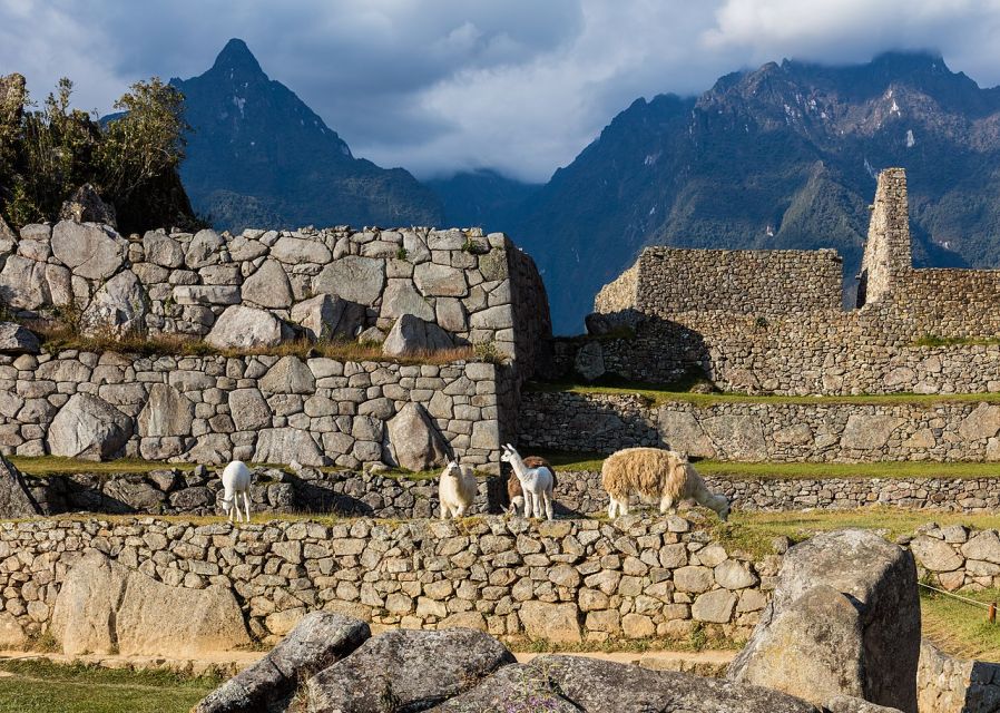 Private Tour Cusco - Ollantaytambo and Machu Picchu 4D - 3N - Journey to Machu Picchu