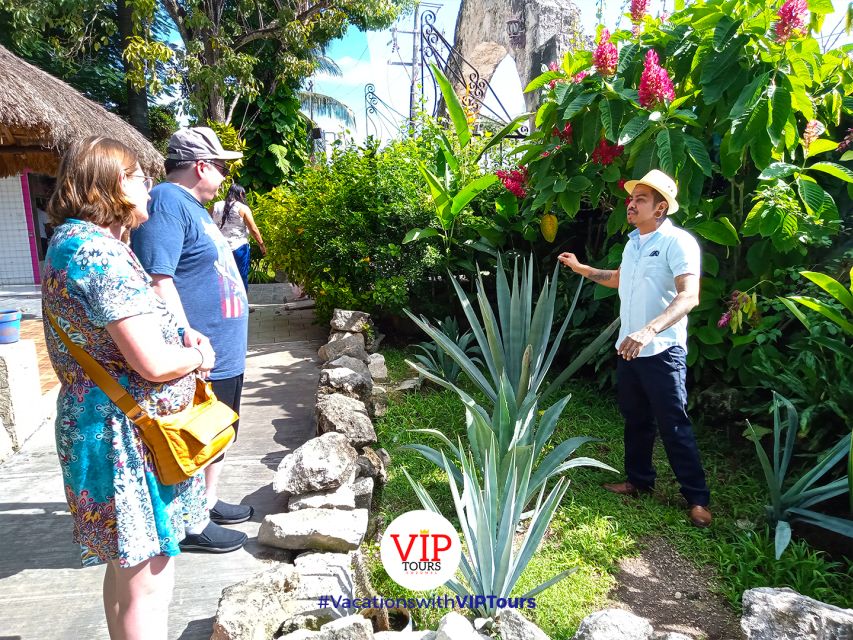 Private Van Service. Tasting the Best of Cozumel - Important Travel Information and Recommendations