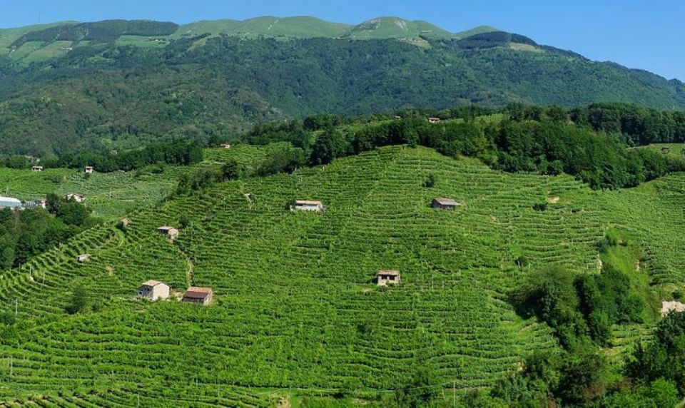 Prosecco Road: Full Day Tour and Wine Tasting - Frequently Asked Questions