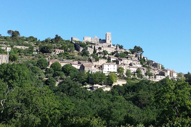 Provence Highlights Full-Day Tour From Avignon - Provencal Markets and Local Cuisine
