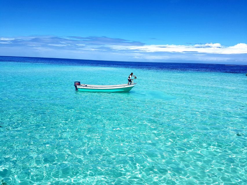 Puerto Plata: Day Trip to Cayo Arena Island by Speedboat - Snorkeling in Coral Reefs