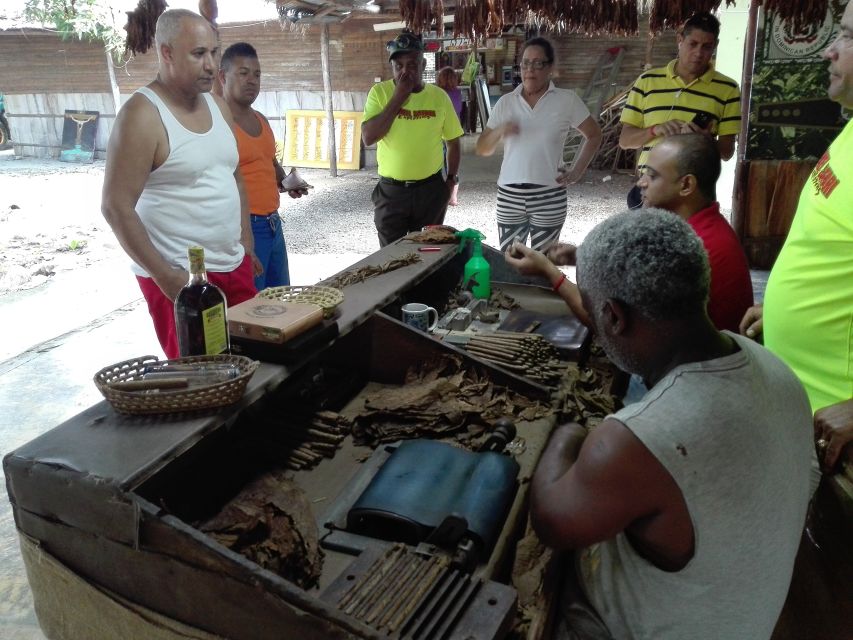 Puerto Plata: Full-Day Rural Tour and Waterfall Safari - Descending the Cascadas De Damajagua