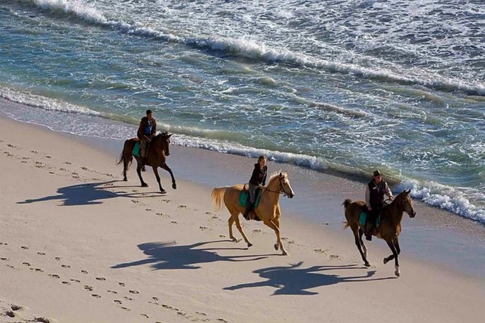 Puerto Plata: Horseback Riding on the Beach - Break at the Beach Bar