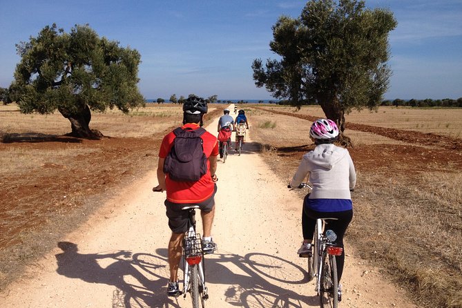 Puglia Bike Tour: Cycling Through the History of Extra Virgin Olive Oil - Included National Park Fees and Guide