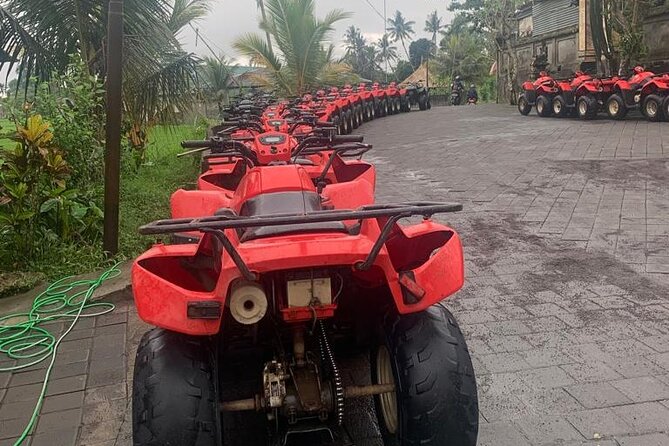 Quadbike Adventure With Tunnel and Waterfall Tour in Bali - Highlights of the Tour Route