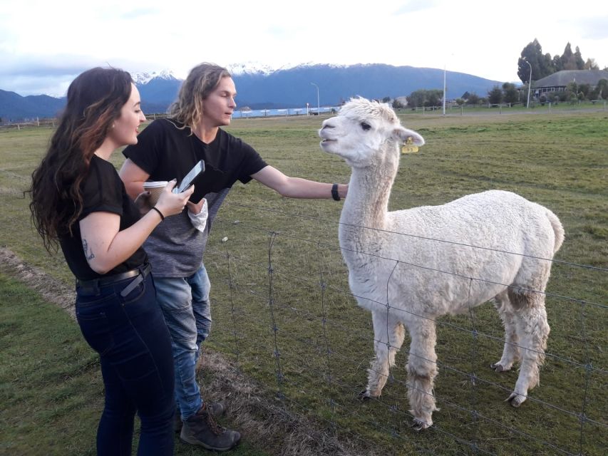 Queenstown: Small-Group Tour to Milford Sound With Cruise - Customer Reviews