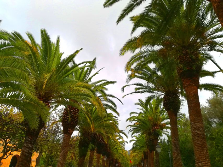 Ragusa Ibla: Walking Tour With Local Guide - Ibleo Garden