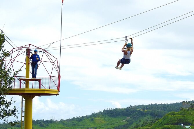Rainforest Zipline in Foothills of the National Rainforest - Confirmation and Booking