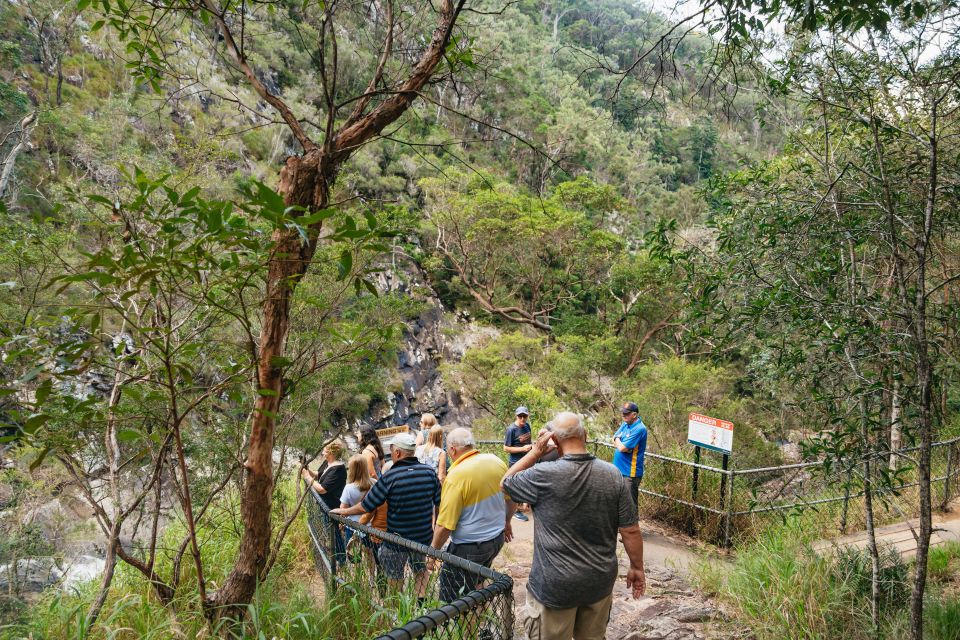 Rainforests and Glow Worm Cave: Day Tour From Brisbane - Experience Highlights and Itinerary