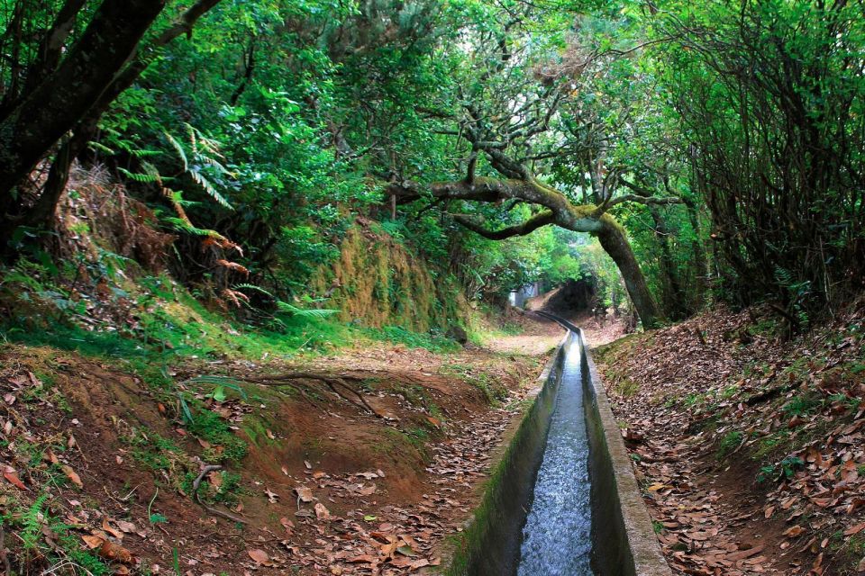 Ribeiro Frio / Portela - Levada Walk - Important Information