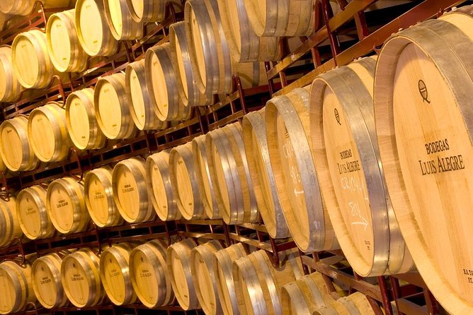 Rioja Wine Tour: 2 Wineries From Bilbao - Winemaking and Tastings