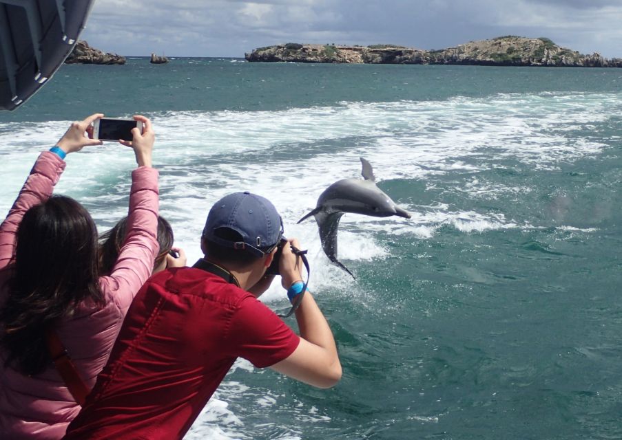 Rockingham: Shoalwater Islands Tour and Penguin Island - Customer Reviews