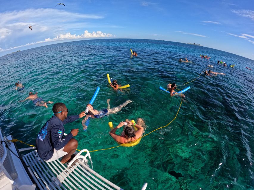 Rose Island: Swimming Pigs, Snorkel and Lunch by Speed Boat - Visit to Sandy Cay