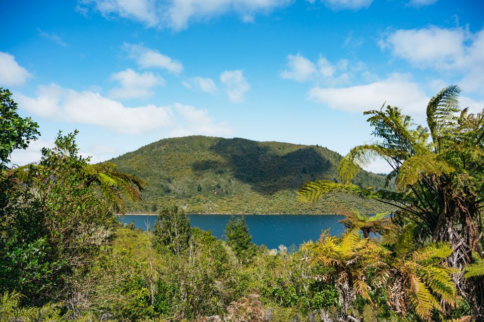 Rotorua: Explore The Lakes Half-Day Morning Tour - Inclusions and Exclusions