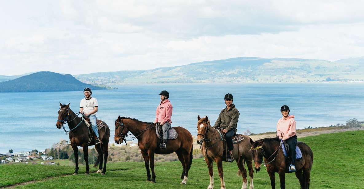 Rotorua: Guided Horseback Riding Day Trip on Mt. Ngongotaha - Customer Reviews