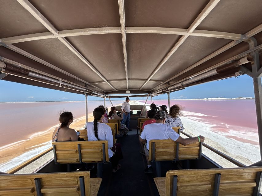 Safari Tour Around the Pink Lakes of Las Coloradas - Bilingual Guide and Transportation