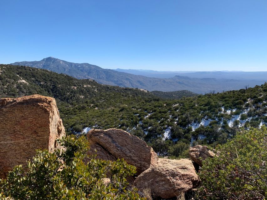 Saguaro National Park: Day Tour & Hike - What to Bring