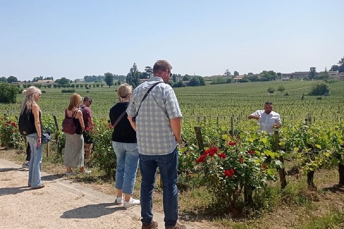 Saint-Emilion Morning Wine Tour - Winery & Tastings From Bordeaux - Transportation and Accessibility