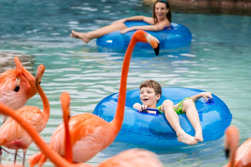 San Antonio: Aquatica Skip-the-Line Park Admission Ticket - Combining With Seaworld San Antonio