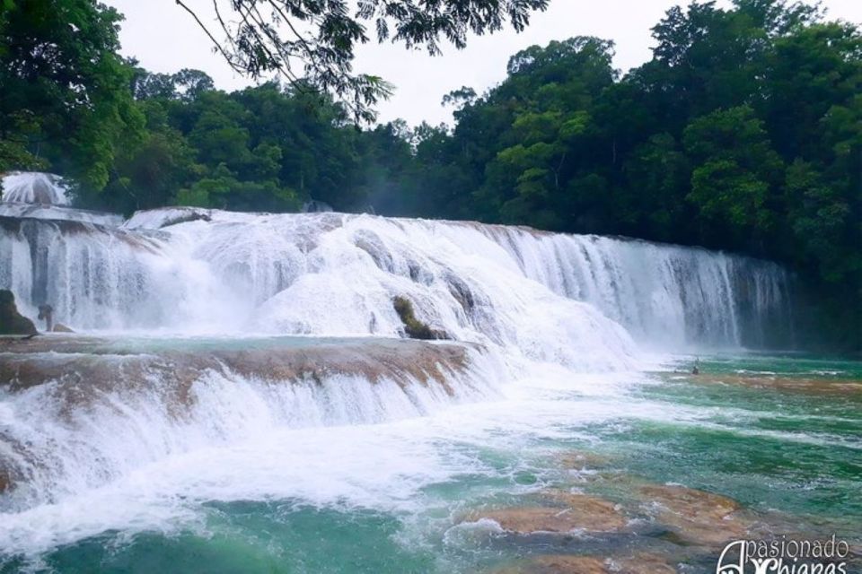 San Cristobal: Agua Azul, Misol Ha & Palenque Experience - Transportation and Inclusions