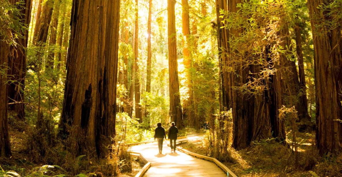 San Francisco: 1 Day Hop-On Hop-Off + Muir Woods Tour - Frequently Asked Questions