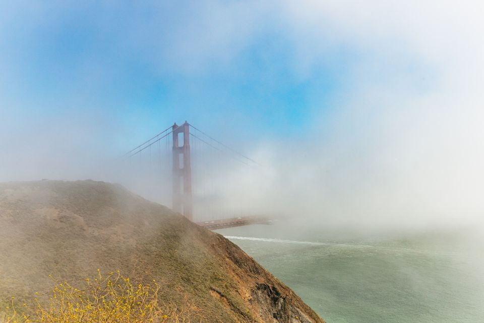 San Francisco: Muir Woods and Sausalito Small-Group Tour - Photography Opportunities at Key Spots