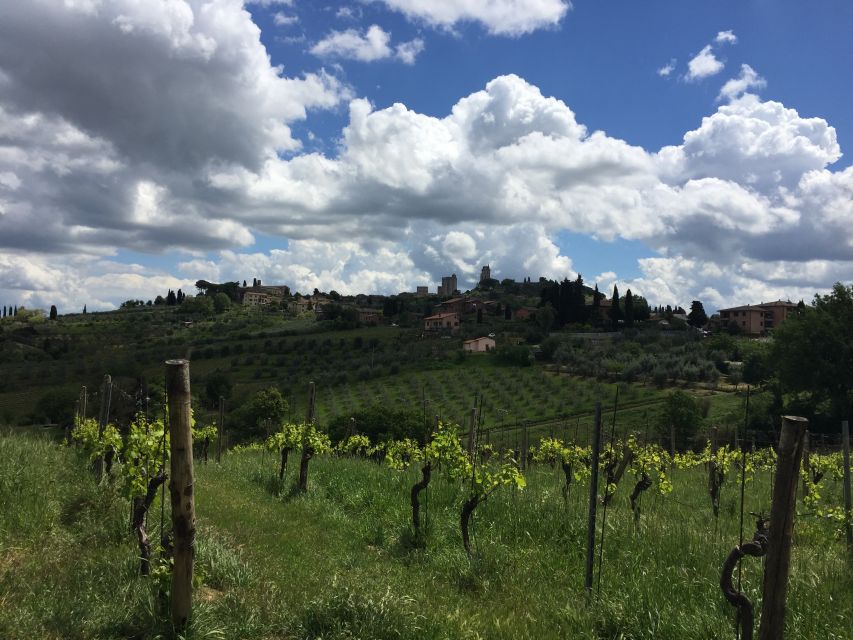 San Gimignano: Saffron and Vernaccia Tasting With Lunch - Saffron Production Experience