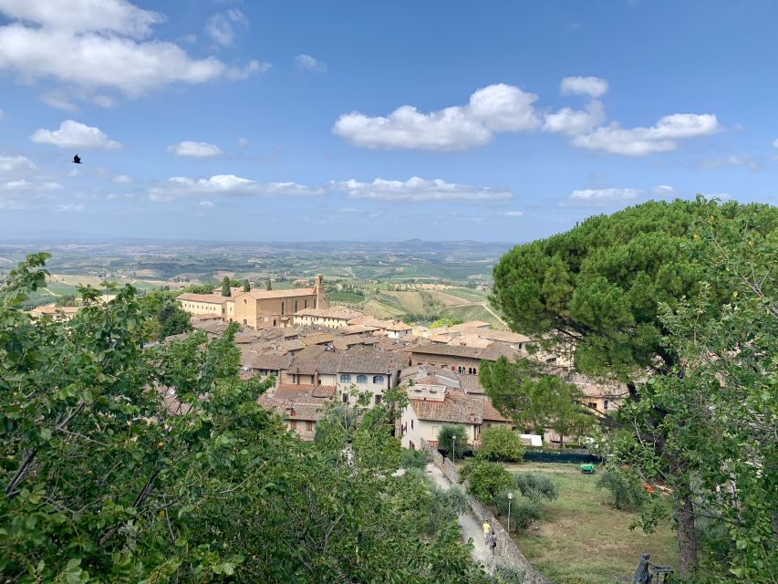 San Gimignano & Volterra: Private Transfer From Florence - Customer Reviews