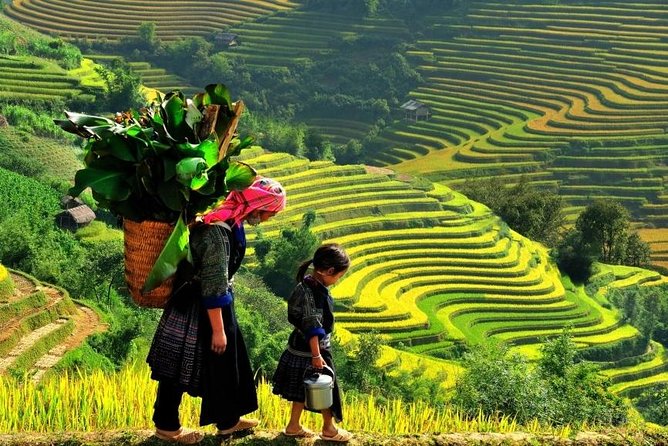 Sapa 2 Days 1 Night From Hanoi - Overnight in Hotel - Cancellation Policy Details