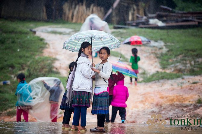 Sapa Hard Trekking Villages Homestay 3days/ 2nights Tour - Amazing Culture - Customer Reviews and Feedback