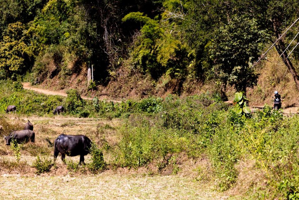 Scooter Adventure Incl Elephants, Cave - Off-Road Adventure