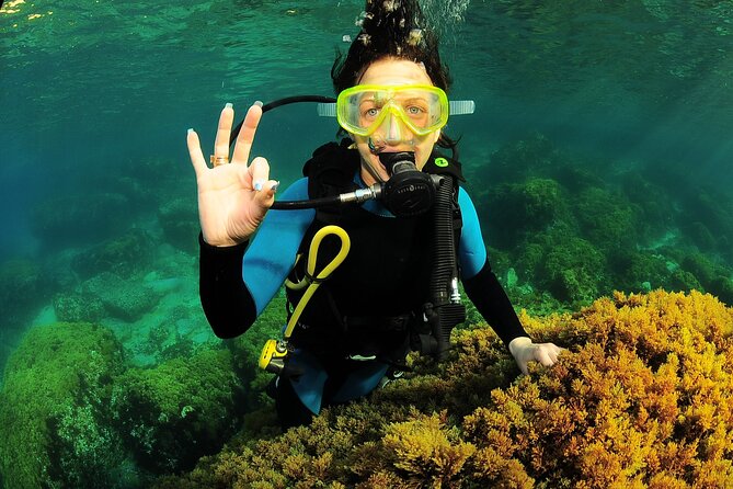 Scuba Diving Baptism and Snorkeling in Ibiza - Returning to the Surface: Post-Dive Reflections