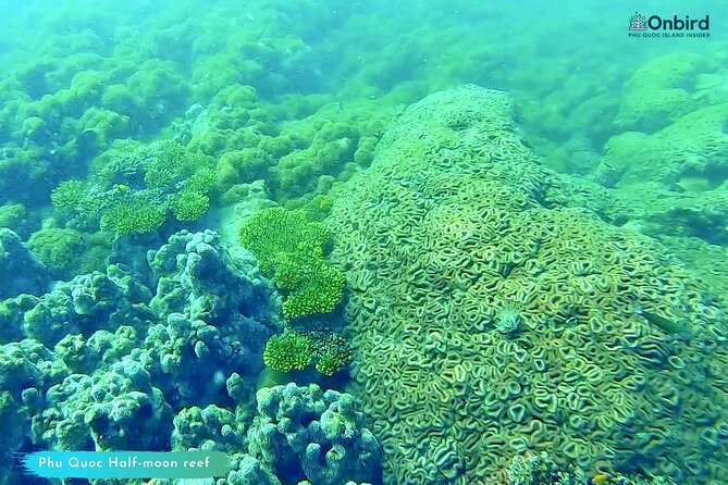 Scuba Diving for Certified Divers in Phu Quoc Island - Physical Requirements for Divers