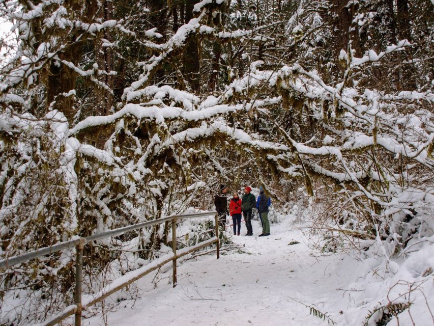 Seattle: Longmire in Mount Rainier Winter Day Tour - Recommendations