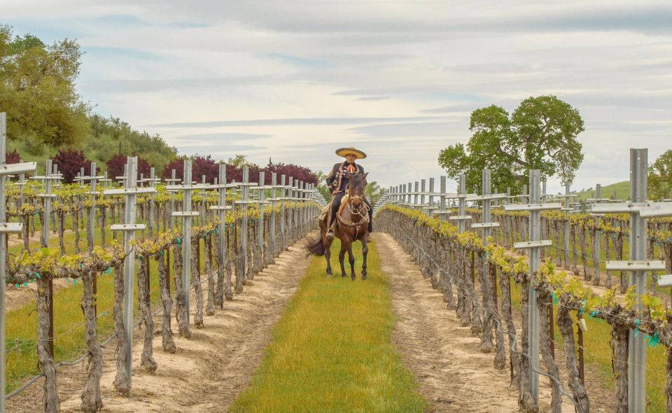 Self-Guided Wine Tasting Audio Tour - Paso Robles CA - Winery Highlights