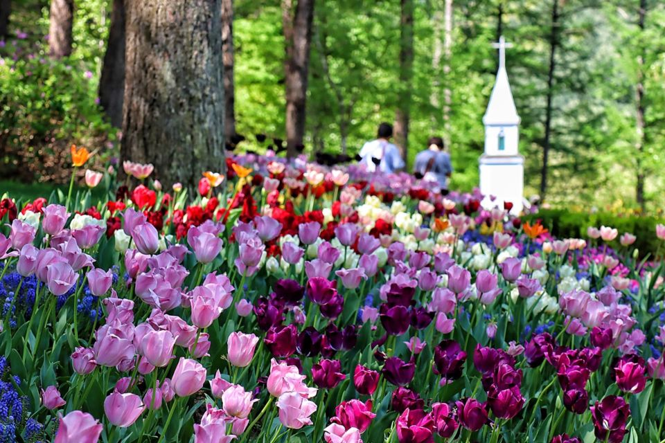 Seoul: Nami and Petite France Tour With Optional K-Garden - Destinations: Nami Island