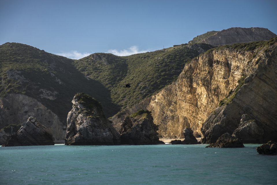 Sesimbra: Speedboat Tour of Arrabida Natural Park - Alternative Experience and Rescheduling