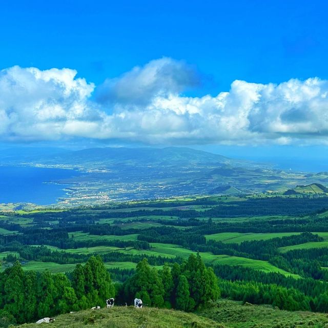 Sete Cidades Lakes - Off Road Tour - Private Tour Experience