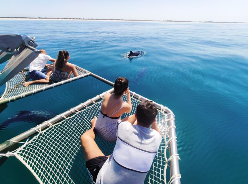 Setúbal: Dolphin Watching Tour - Frequently Asked Questions