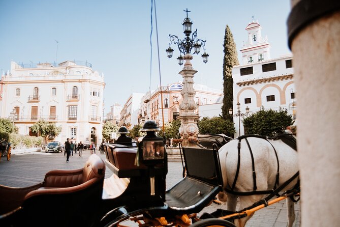 Seville Guided Small-Group Walking Tour - Accessibility and Transportation