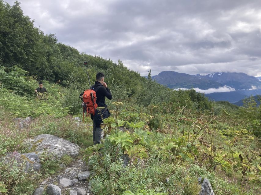 Seward: Guided Wilderness Hike With Transfer - Fitness and Terrain Requirements