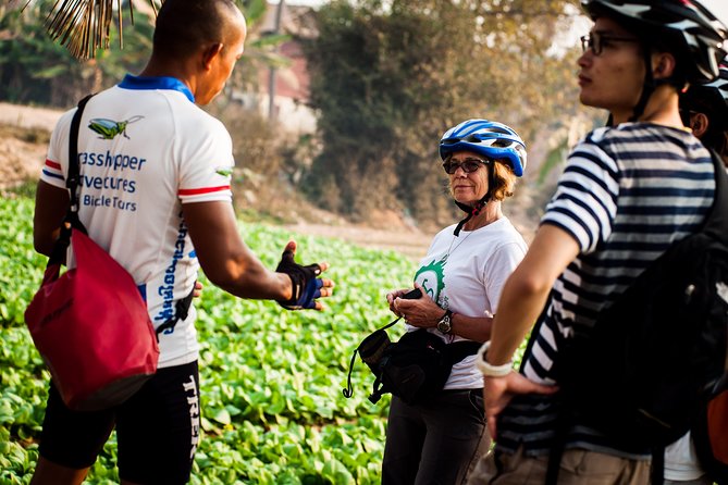 Siem Reap Countryside Guided Tour With E-Bike and Non E-Bike - Sampling Typical Cambodian Snacks