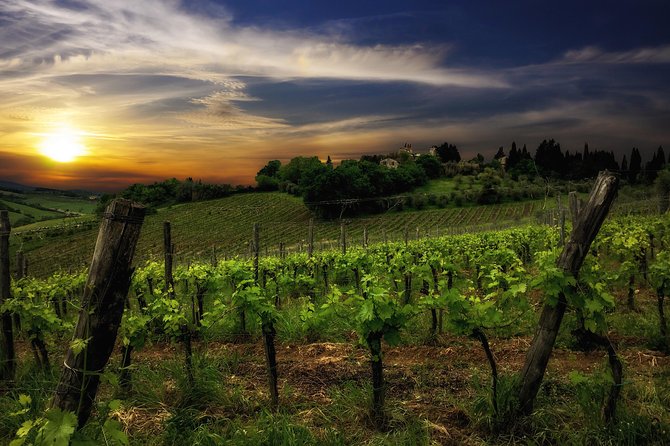 Siena: A Wine Tour and Tasting Experience - Tuscan Wine Tasting