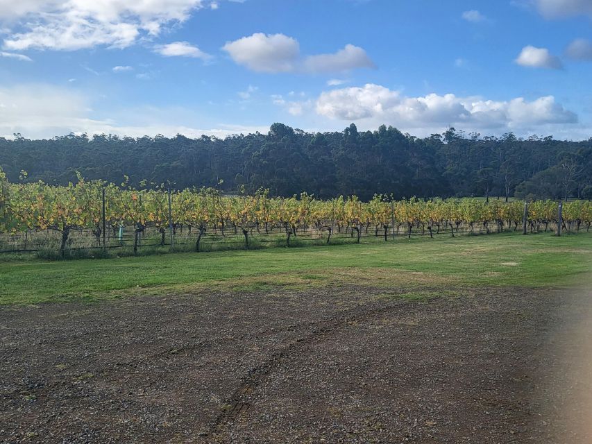 Signature Wine Tour - Hobart and SE Tasmania - Frequently Asked Questions