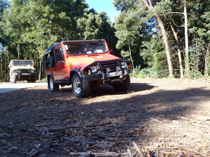 Sintra 4WD Tour - Tour for Nature Lovers