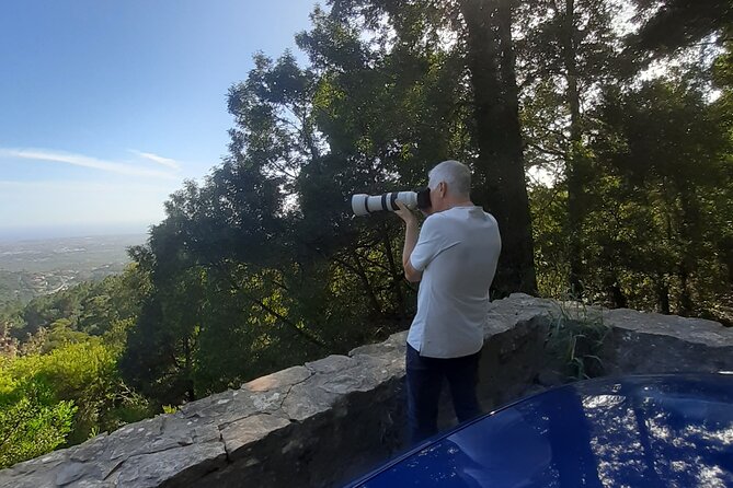 Sintra/Cascais - Montes Da Lua - PRIVATE TOUR - Pricing