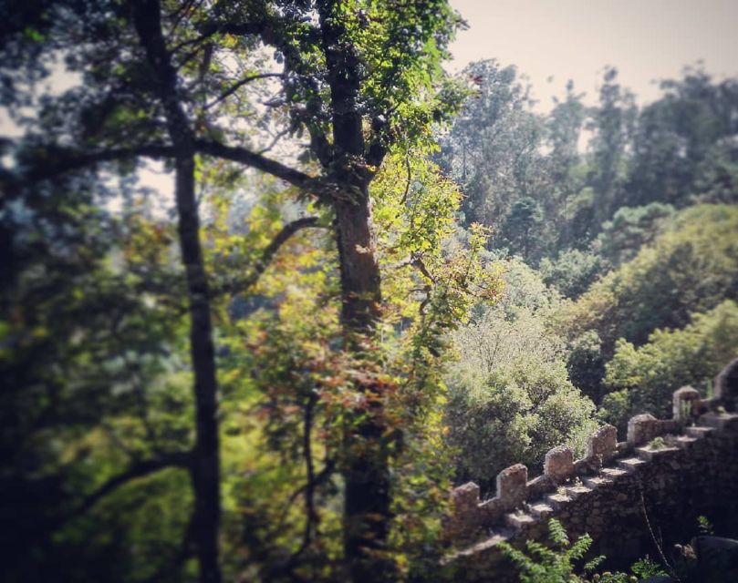 Sintra: Legends and Medieval Stories Private Walking Tour - Charming and Engaging Tour Experience